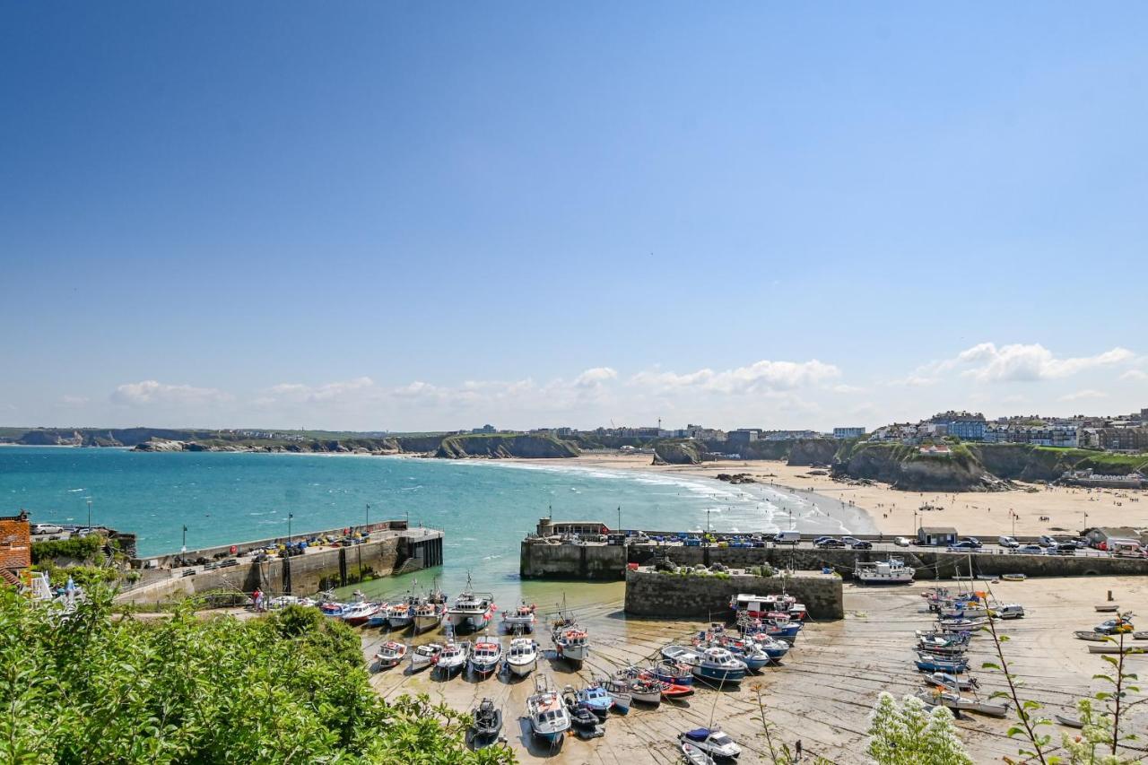 Cornwall Escapes New Quay エクステリア 写真